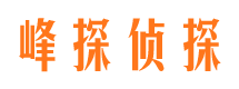 鲁甸市场调查